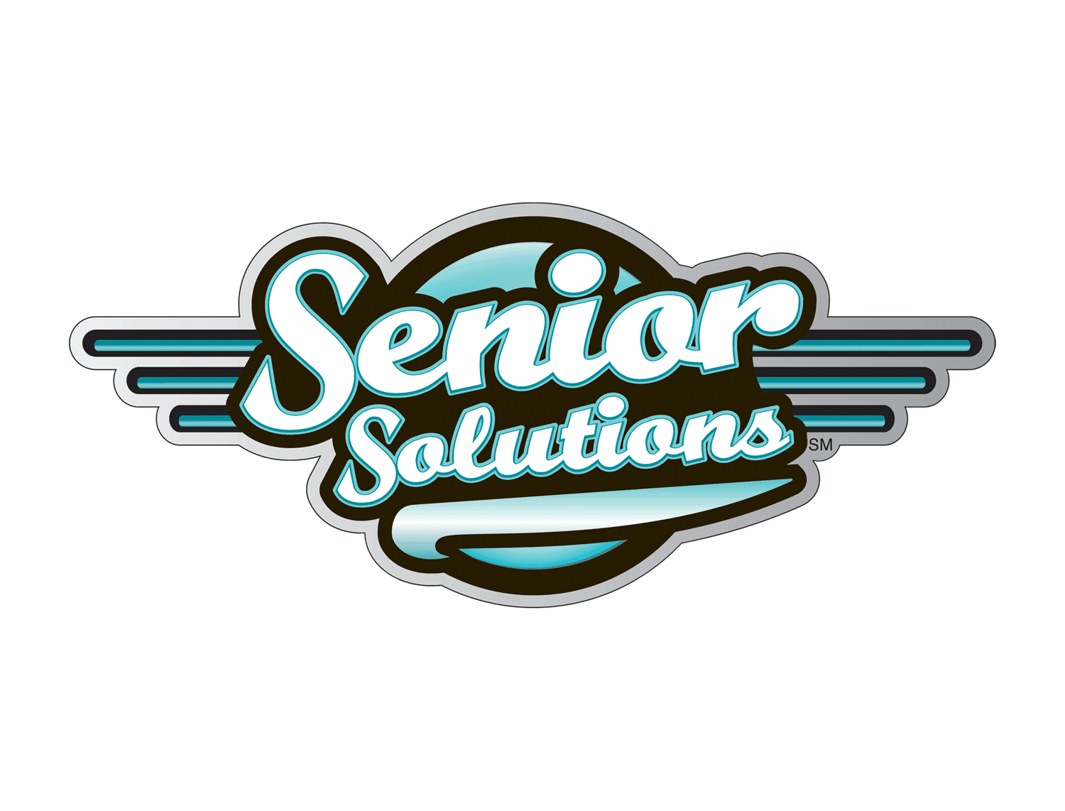 2012 Seniorsolutions