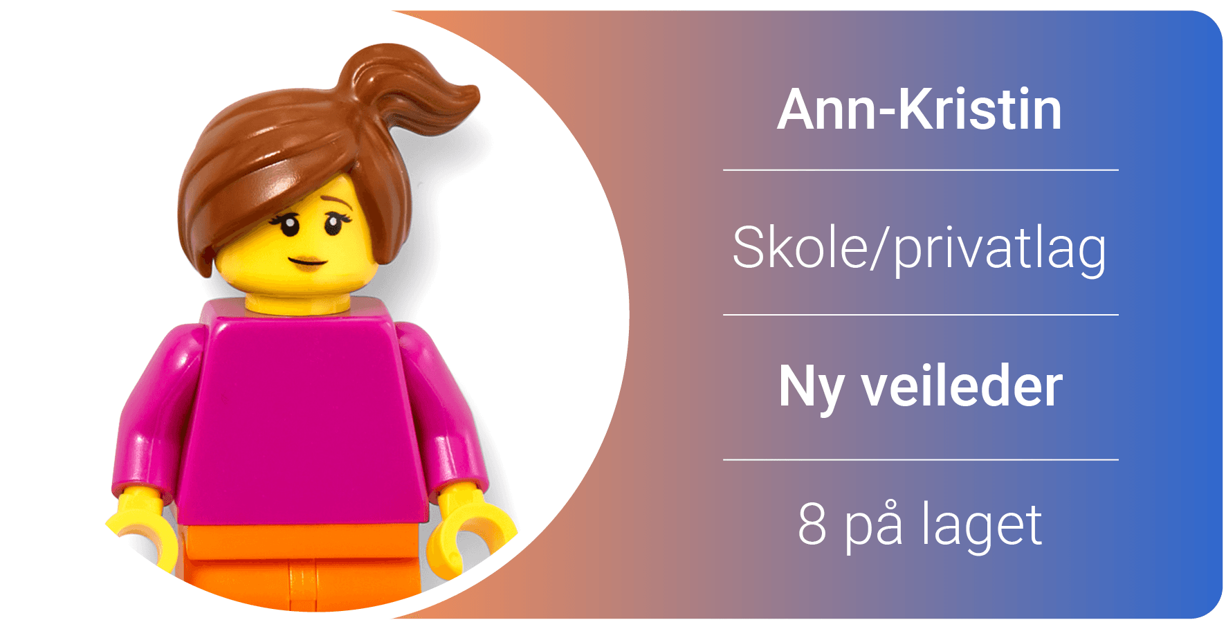 Illustrasjon Organisering Ak