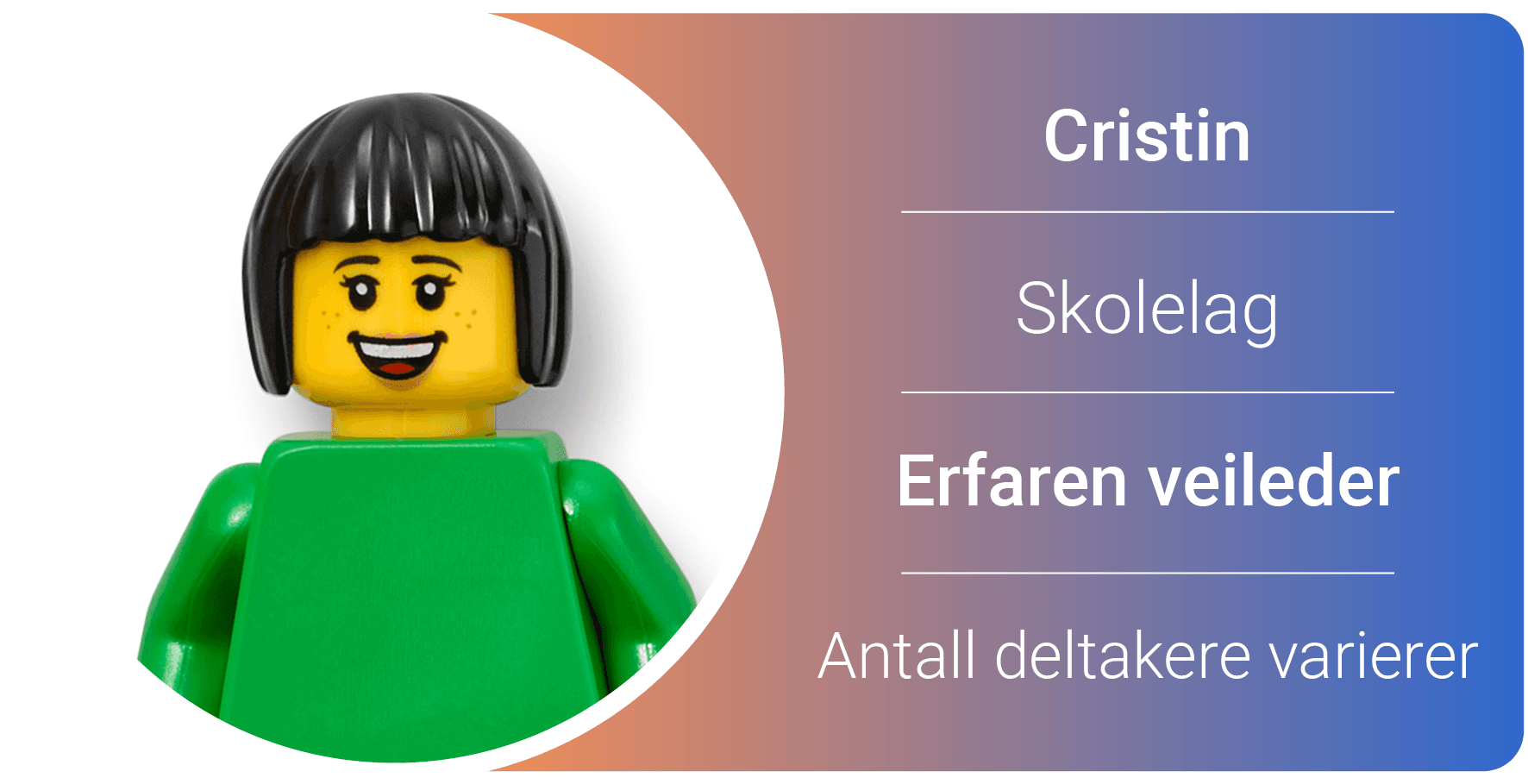 Illustrasjon Organisering25