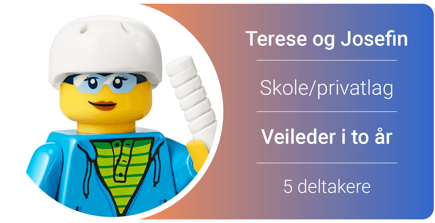 Illustrasjon Organisering28