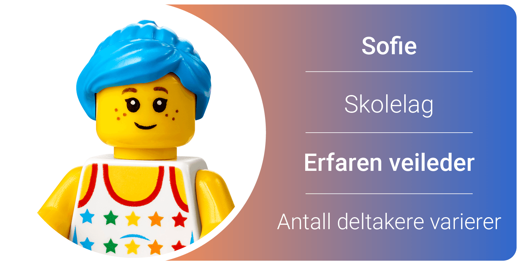 Illustrasjon Organisering27