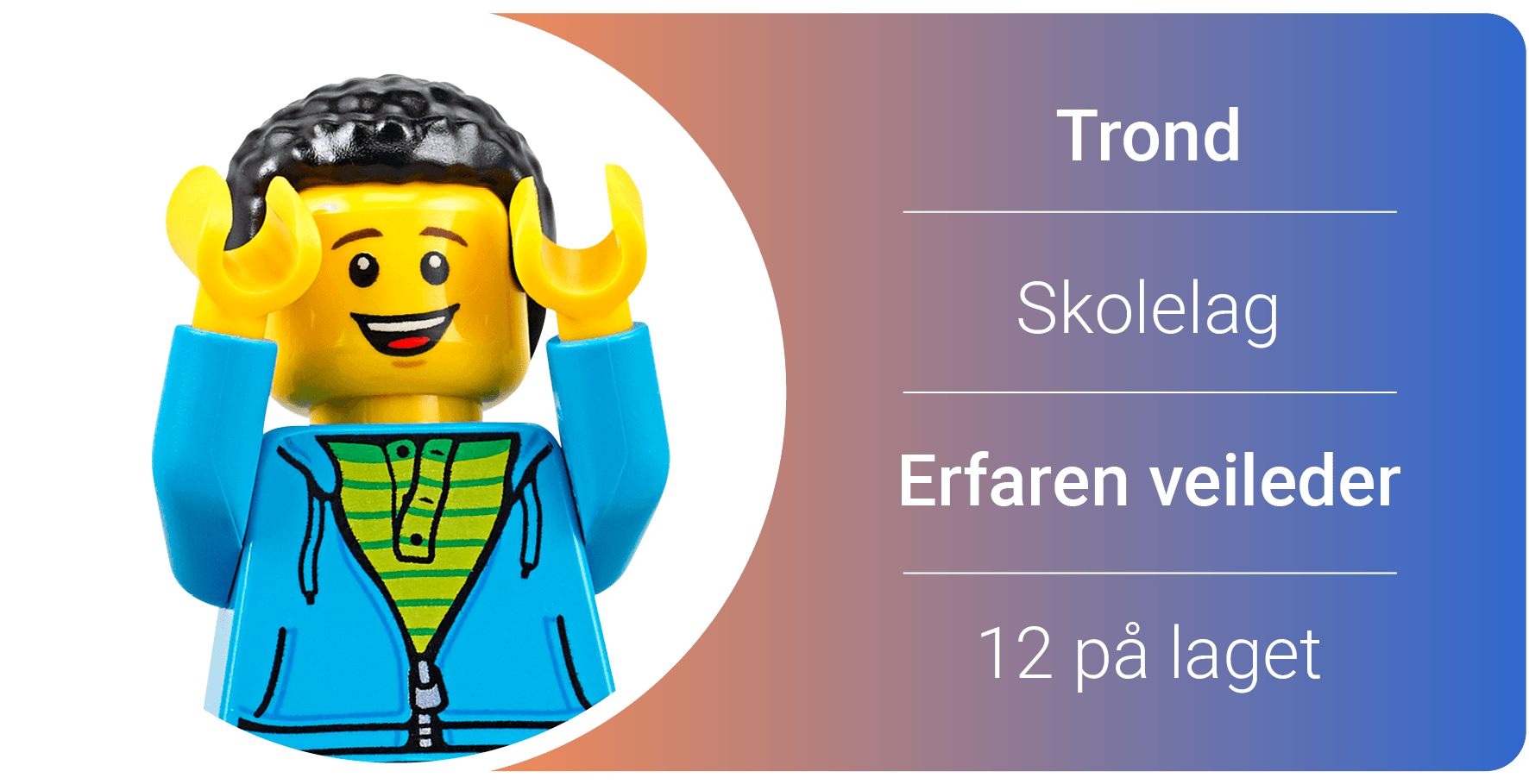 Illustrasjon Organisering2