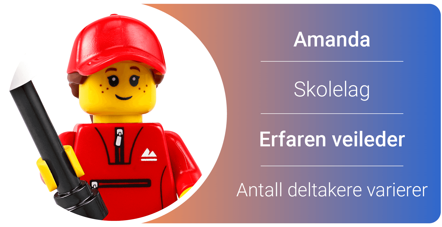 Illustrasjon Organisering23