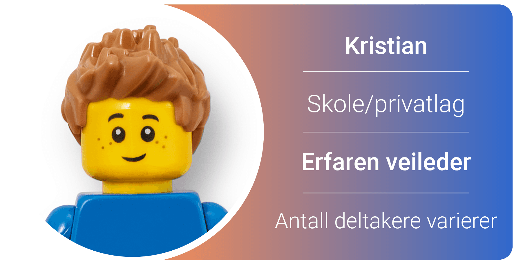 Illustrasjon Organisering26